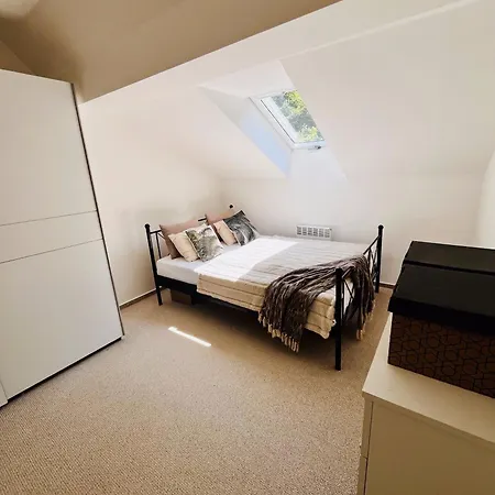 Lejlighed The Mountain Sky Apartment - Prostorny Loft 198 M2 S Lesem Za Okny, Terasa, Parkovani Zdarma Jeseník