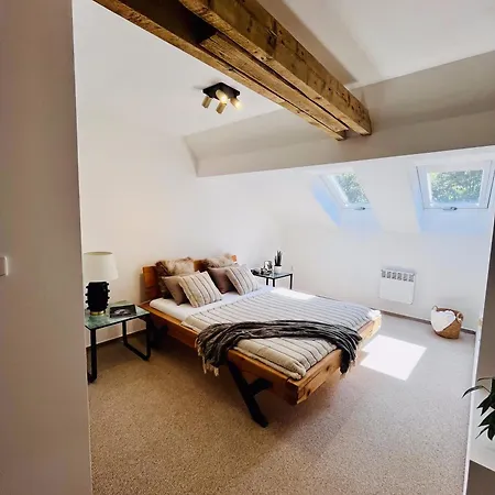 The Mountain Sky Apartment - Prostorny Loft 198 M2 S Lesem Za Okny, Terasa, Parkovani Zdarma Lejlighed Jeseník