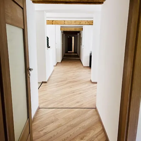 The Mountain Sky - Prostorny Loft 198 M2 S Lesem Za Okny Vhodny Pro Rodiny S Detmi, Terasa, Detsky Koutek, Parkovani Zdarma * Jeseník