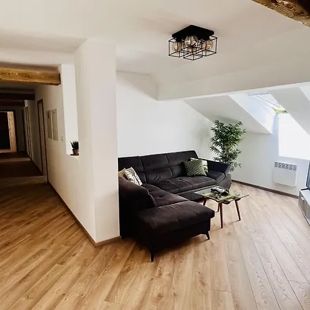 The Mountain Sky Apartment - Prostorny Loft 198 M2 S Lesem Za Okny, Terasa, Parkovani Zdarma Lejlighed