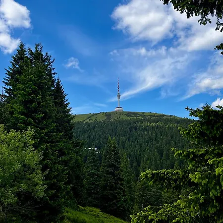 The Mountain Sky - Prostorny Loft 212 M2 S Lesem Za Okny Vhodny Pro Rodiny S Detmi, Terasa, Detsky Koutek, Parkovani Zdarma *