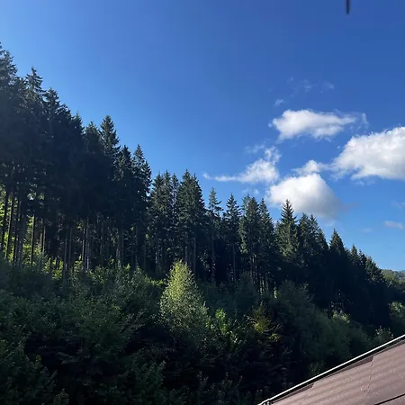 Lägenhet The Mountain Sky - Prostorny Loft 198 M2 S Lesem Za Okny Vhodny Pro Rodiny S Detmi, Terasa, Detsky Koutek, Parkovani Zdarma Jeseník
