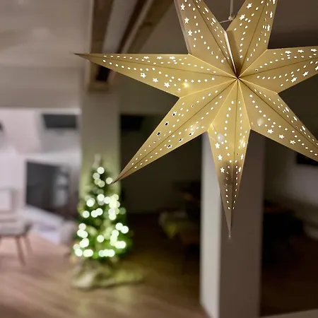 The Mountain Sky - Prostorny Loft 198 M2 S Lesem Za Okny Vhodny Pro Rodiny S Detmi, Terasa, Detsky Koutek, Parkovani Zdarma * Jeseník