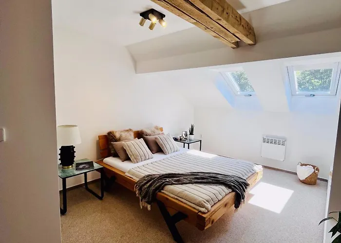 The Mountain Sky - Prostorny Loft 198 M2 S Lesem Za Okny Vhodny Pro Rodiny S Detmi, Terasa, Detsky Koutek, Parkovani Zdarma Appartement Jeseník