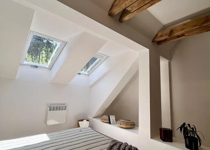 The Mountain Sky - Prostorny Loft 198 M2 S Lesem Za Okny Vhodny Pro Rodiny S Detmi, Terasa, Detsky Koutek, Parkovani Zdarma Appartement Jeseník