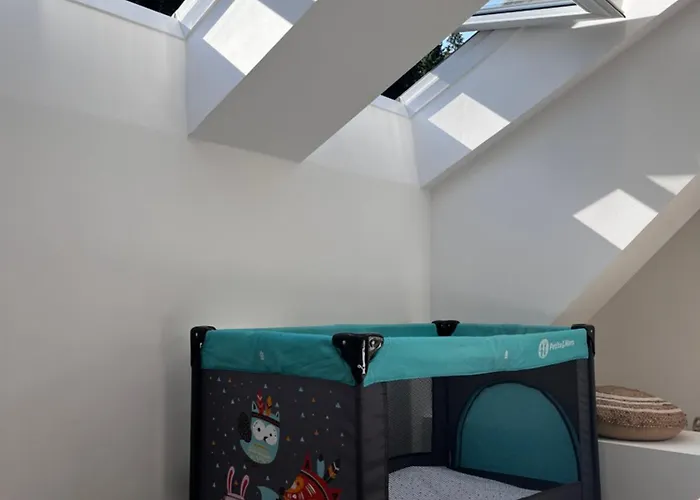 The Mountain Sky - Prostorny Loft 198 M2 S Lesem Za Okny Vhodny Pro Rodiny S Detmi, Terasa, Detsky Koutek, Parkovani Zdarma Appartement Jeseník