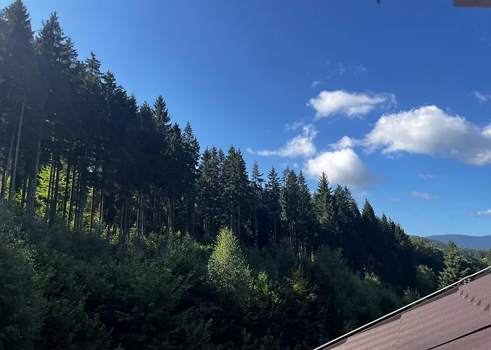 Appartement The Mountain Sky - Prostorny Loft 198 M2 S Lesem Za Okny Vhodny Pro Rodiny S Detmi, Terasa, Detsky Koutek, Parkovani Zdarma Jeseník